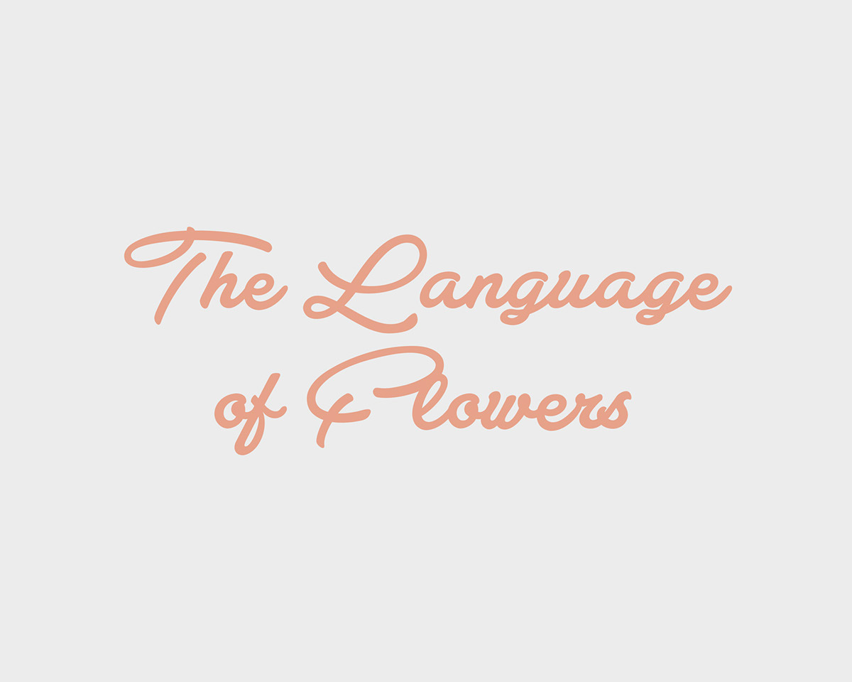 Icon design graphic Web flower website Flowers language