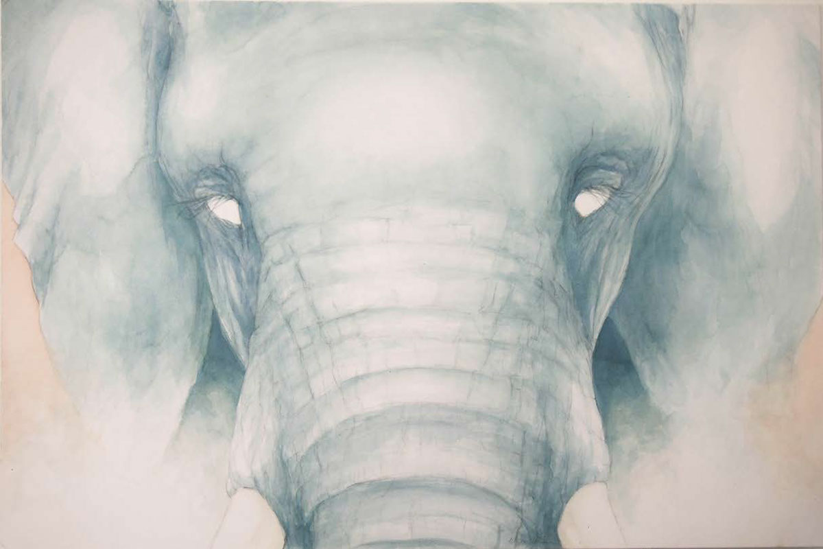 watercolor SCAD Permanent Collection SCAD elephant