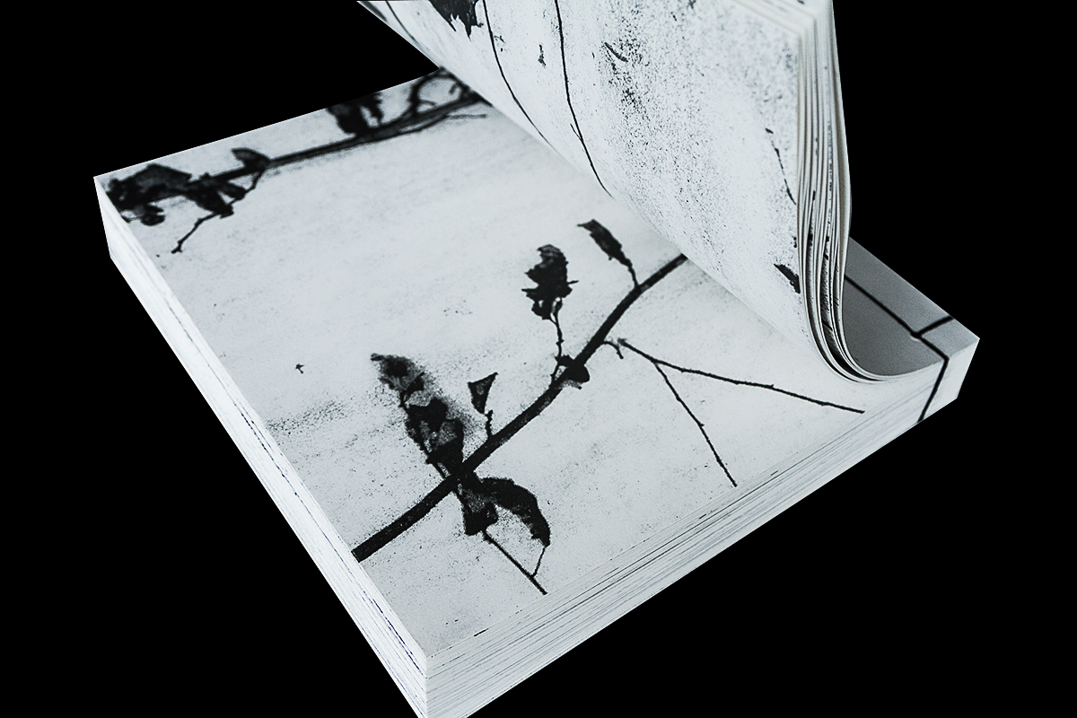 Haiku hokku japanese binding black and white print russian Nature winter book