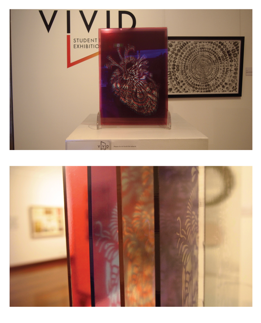 heart reef perspex art paper photograph colour Exhibition  student 3D design university work print