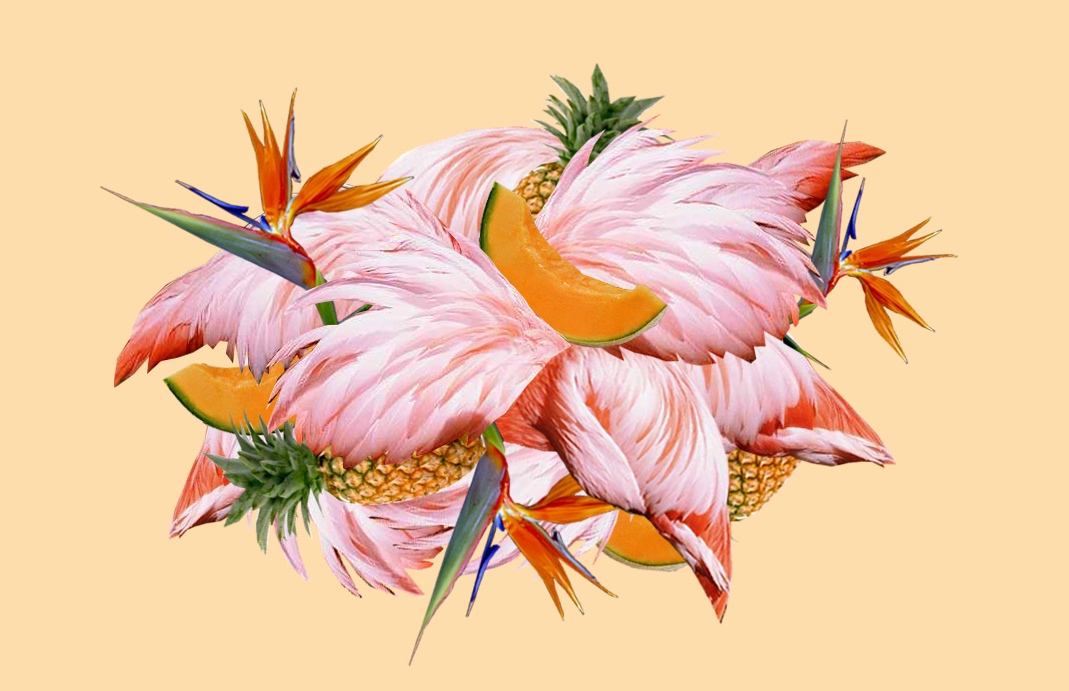collage print birds sharks melons summer party pop abstract Pineapple flamingo parrot Dolphins floral Palm Trees