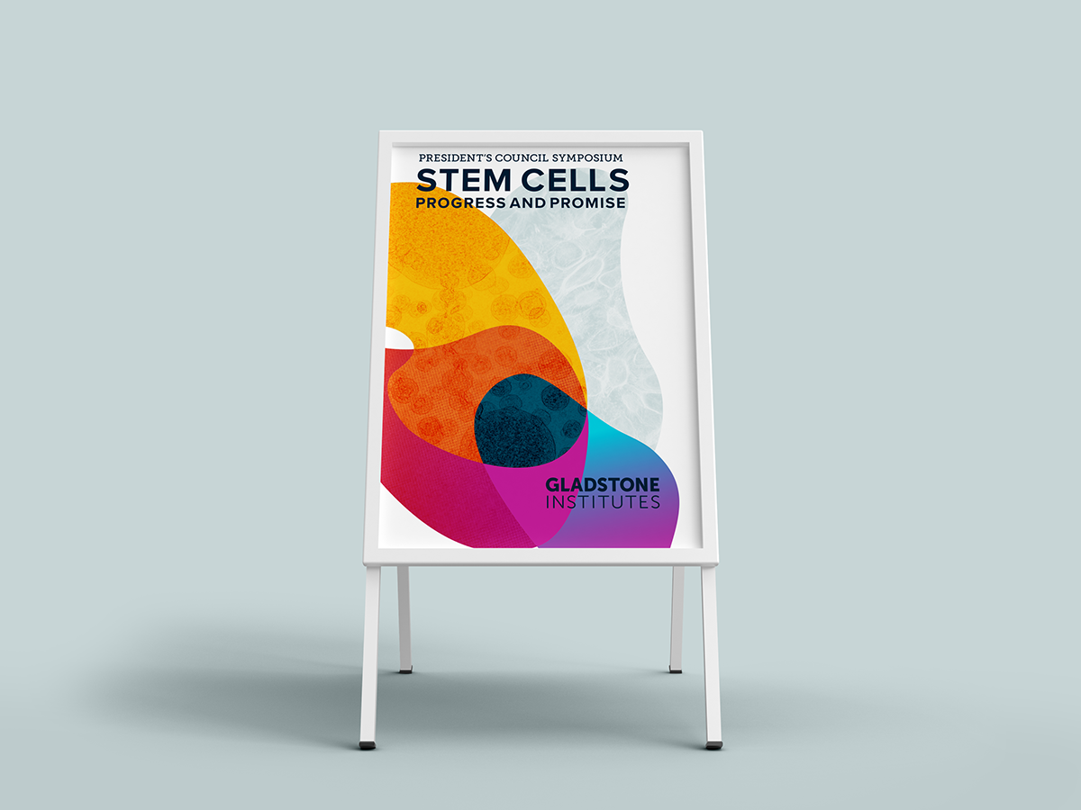 science stem cells Gladstone Institute colorful animation 