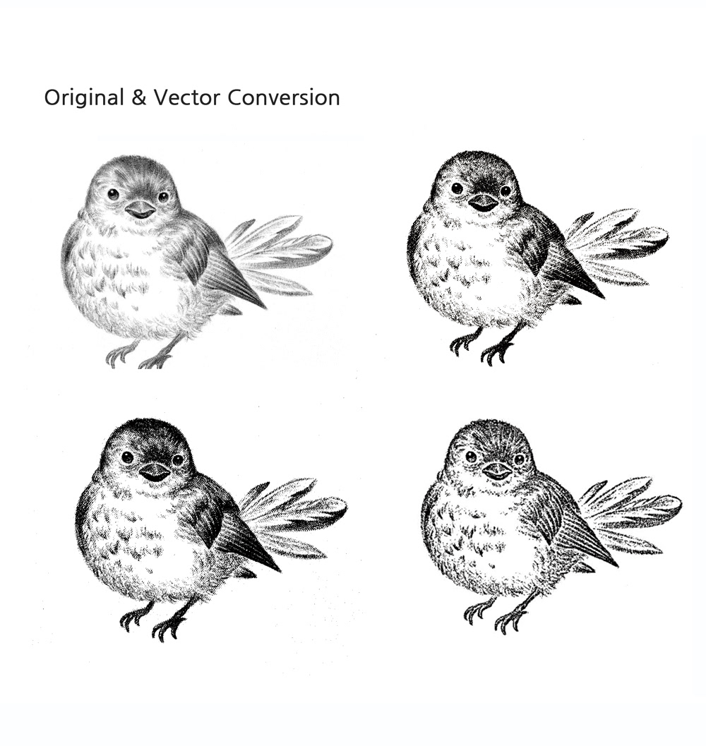 package design  label illustration illustration design beer design Bird Illustration pen and ink ILLUSTRATION  Digital Art  adobe illustrator Illustrator