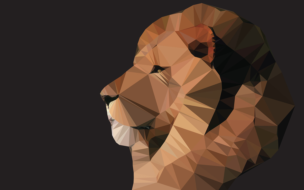 polygon  PolygonArt  illustrator  Illustration  7Issue  vector  vectorart  lion