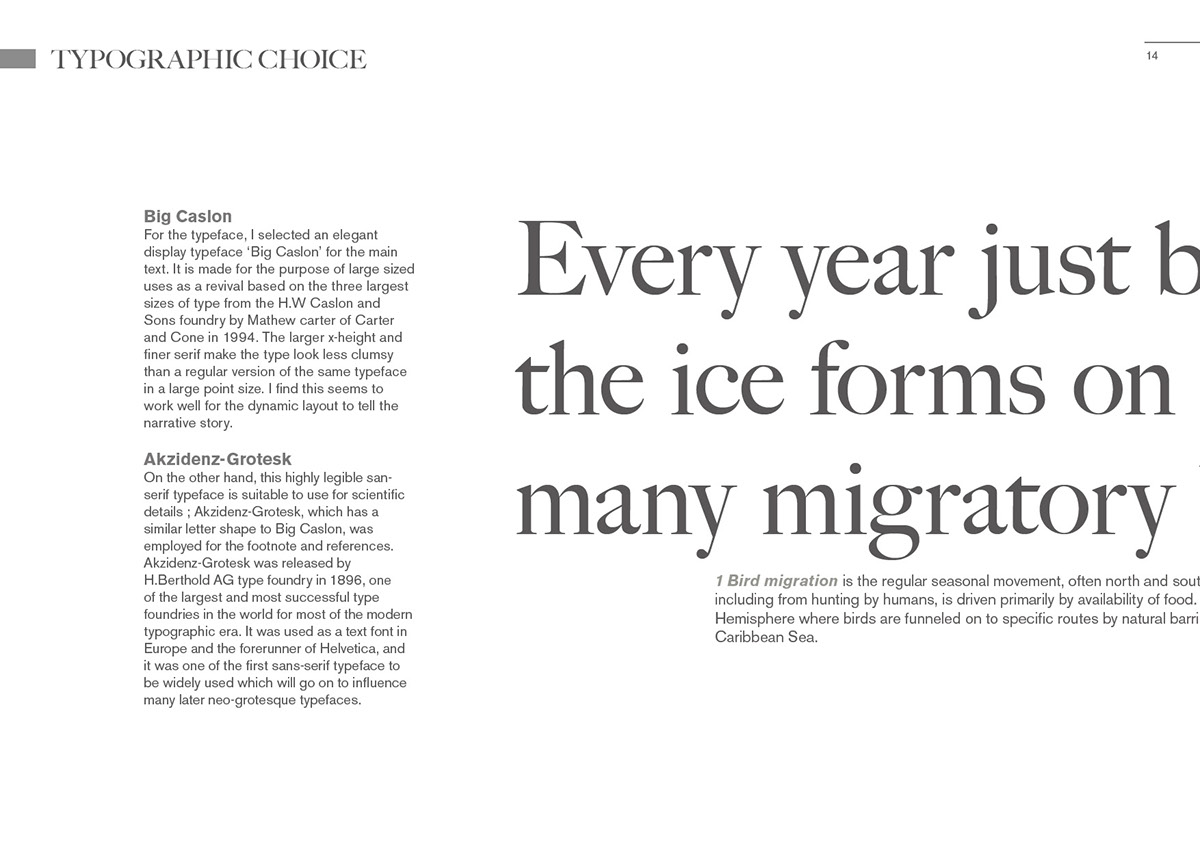 istd bird magnet editorial Pubilication migration broadsheet newspaper Free magazine