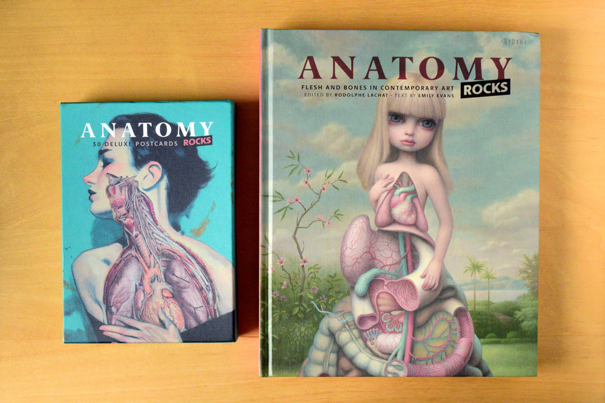 art anatomy anatomical art felt sculpture book hine mizushima handamade interview craft
