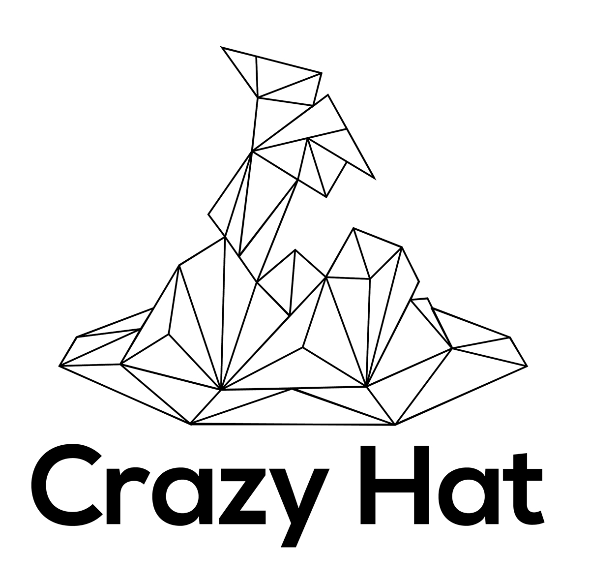 Logotipo logo crazy hat triangulos poligonos