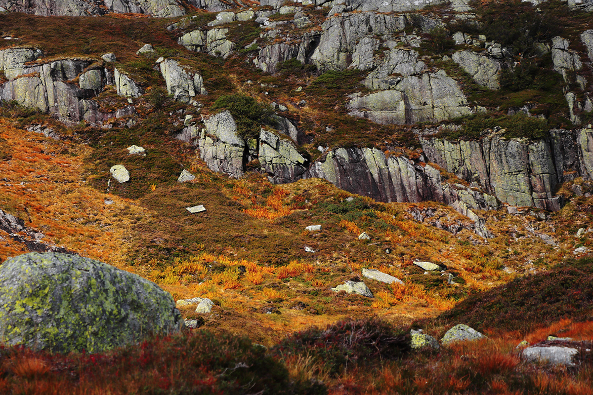 norway Kjerag journey Nature rocks autumn