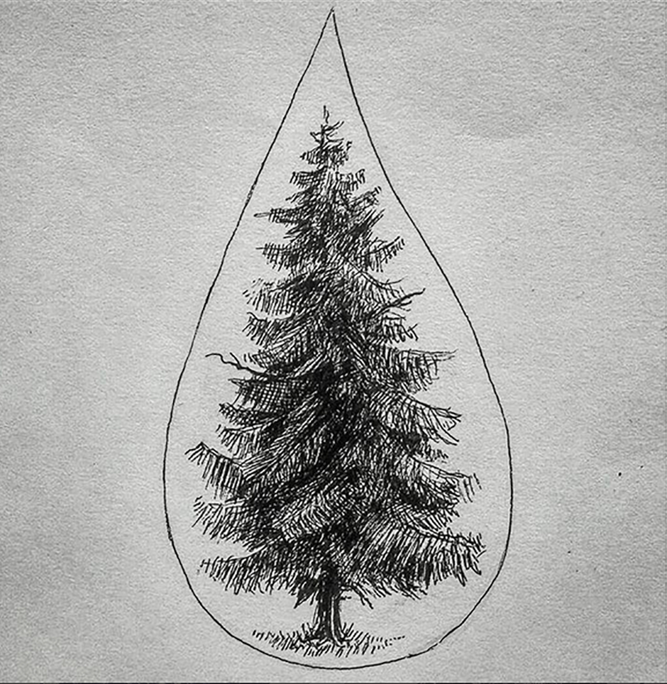 pen ink Tree  pine
