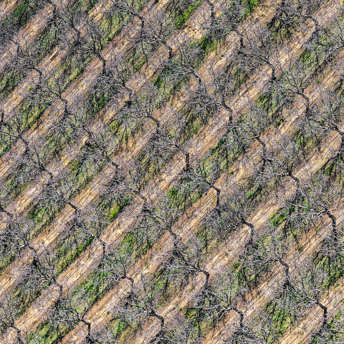Aerial Photography phase one agriculture central valley California