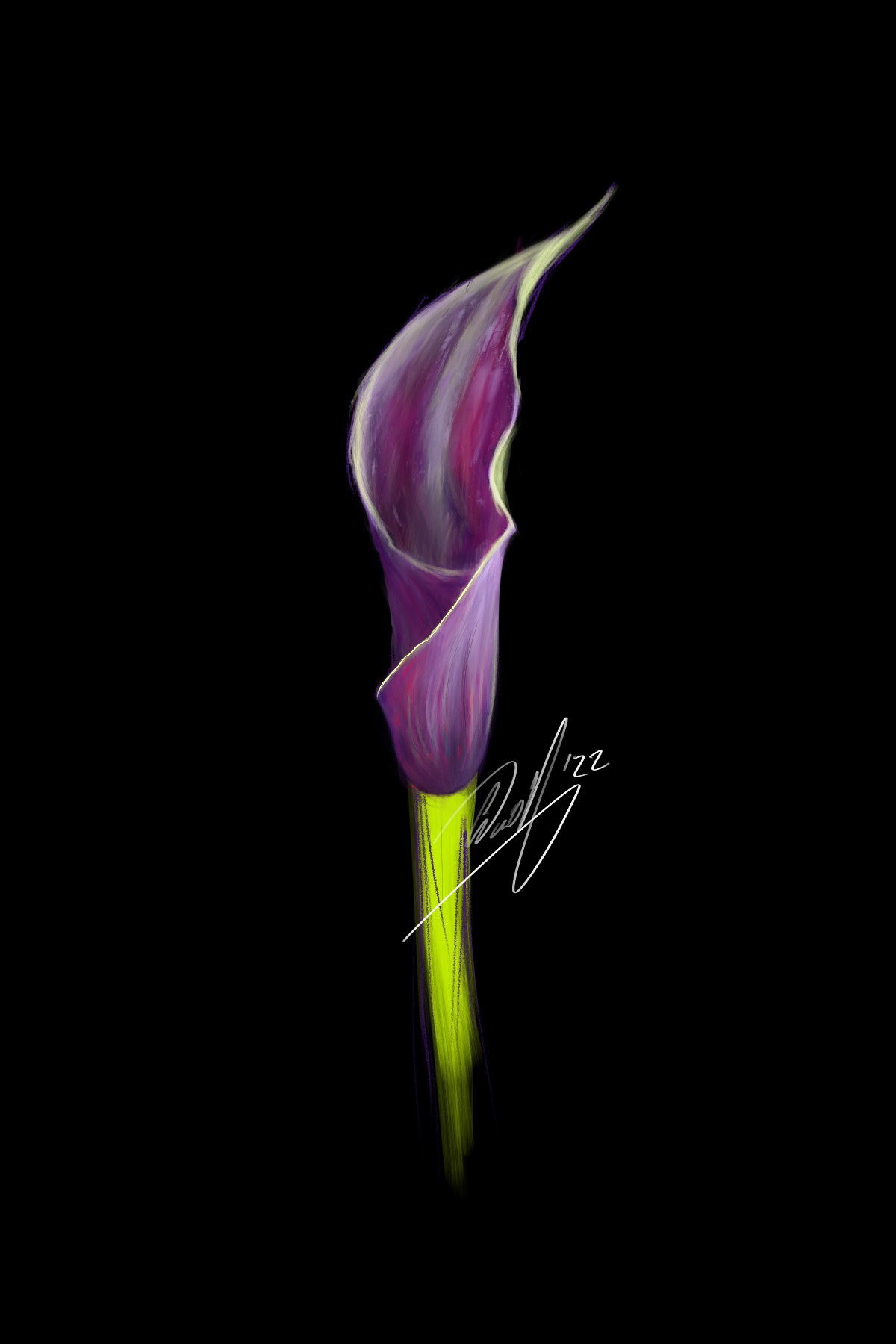 beauty digital painting digitial art Drawing  Flowers ILLUSTRATION  iPad lily painting   Procreate