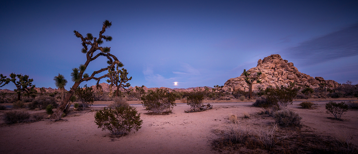 fulbright IntegralLens PygmalionKaratzas losangeles bigsur joshuatree SantaBarbara venicebeach montereybay