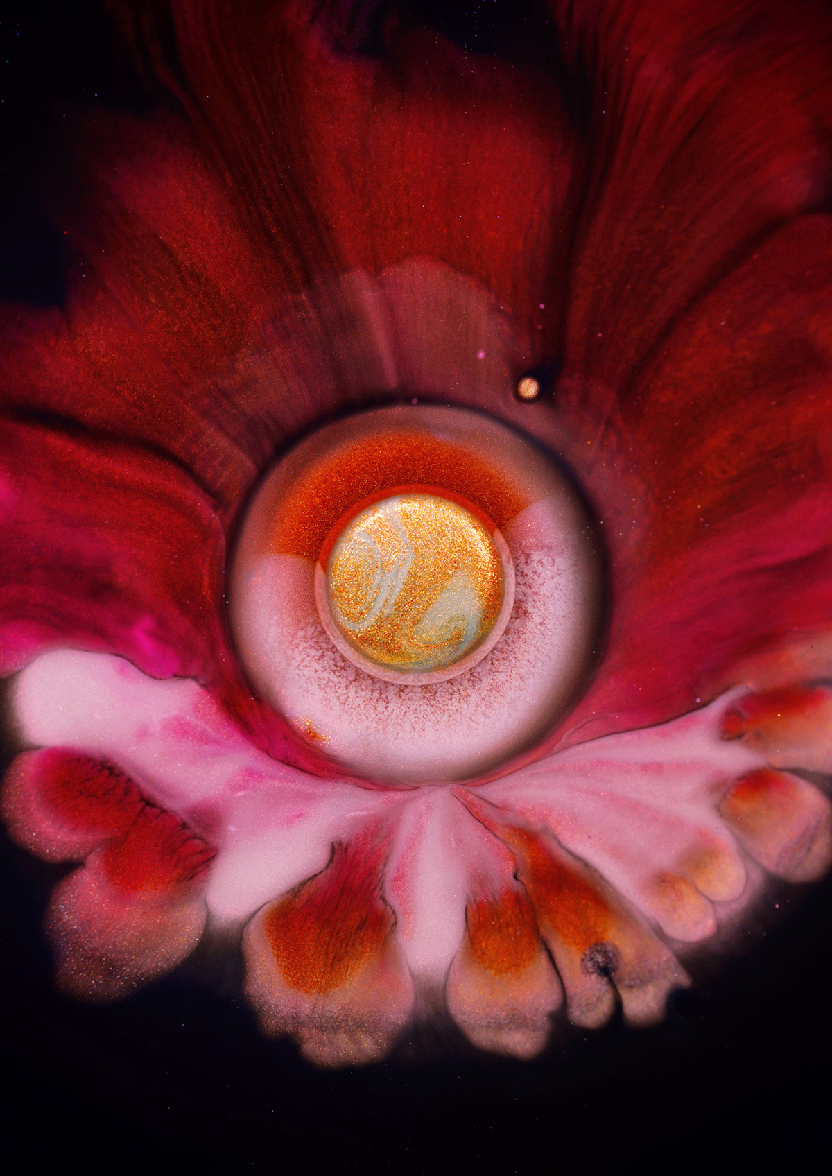 abstract flower Liquid paint Photography 