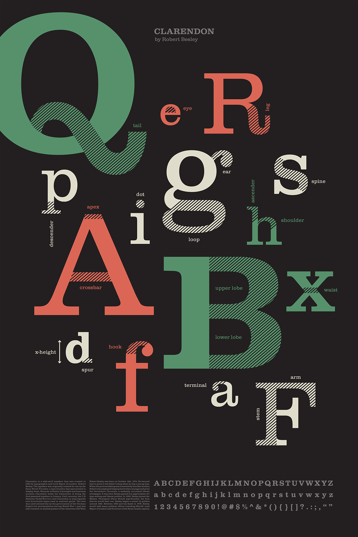 Clarendon Typeface  graphic design  Type Anatomy