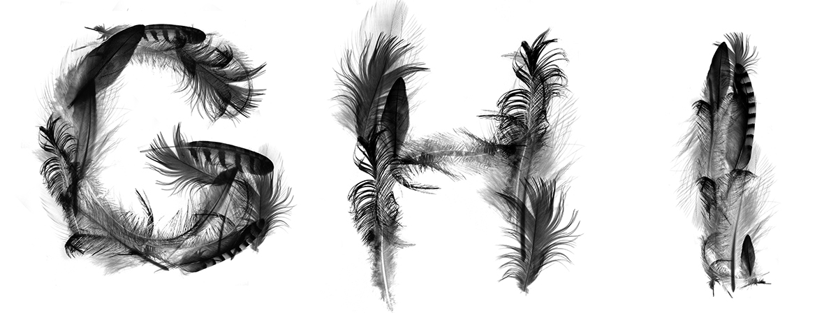 feather font type black bird Typeface bird
