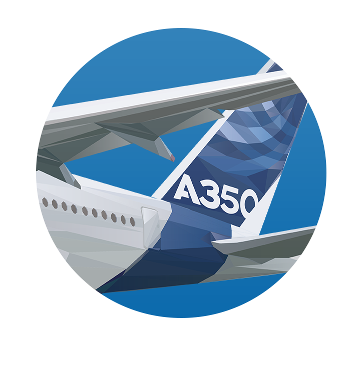 wacom triangulation geometric Aircraft airplane Airbus digitalart abstract pantone adobe lowpoly polygonal