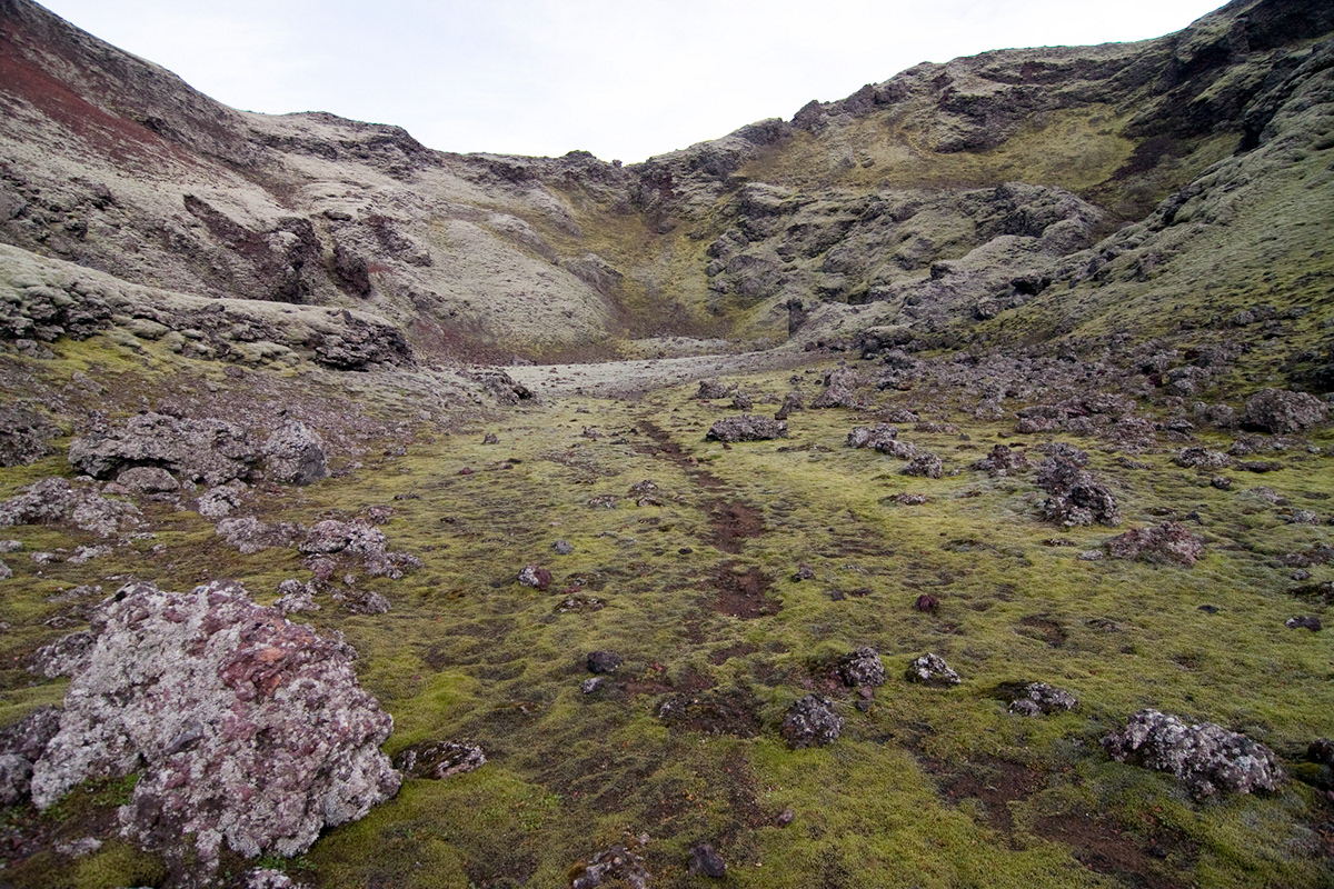 Laki  Lakagígar  iceland Island Landscape Craters volcano Fjallabak Nature green loneliness eruption Tjarnagígur