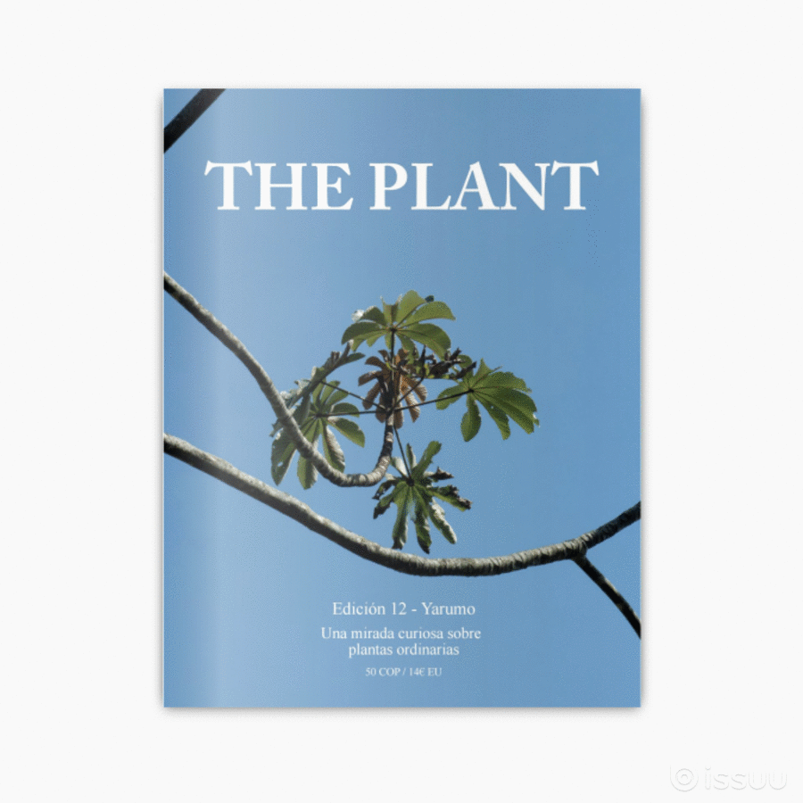 The Plant Magazine Yarumo Blanco Uniandes Producción de Sonido Montaje Identidad de marca revista estudio 5 experiencia botanica