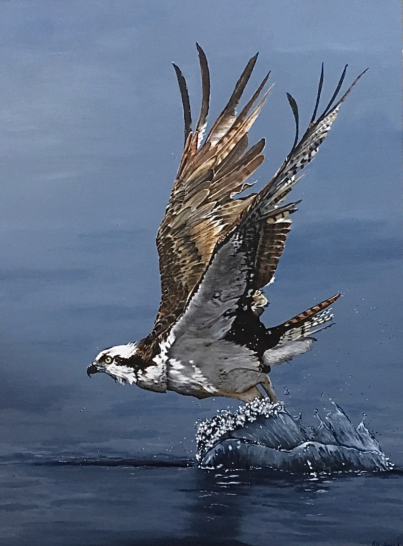bird painting   artwork artist animal