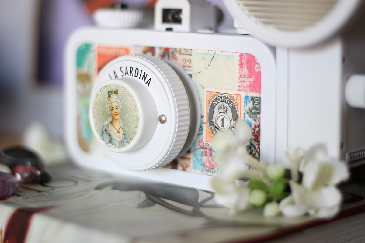 la sardina  analog photography customisation customization collage stamps Travel Travelling Diary journal artist Lomography