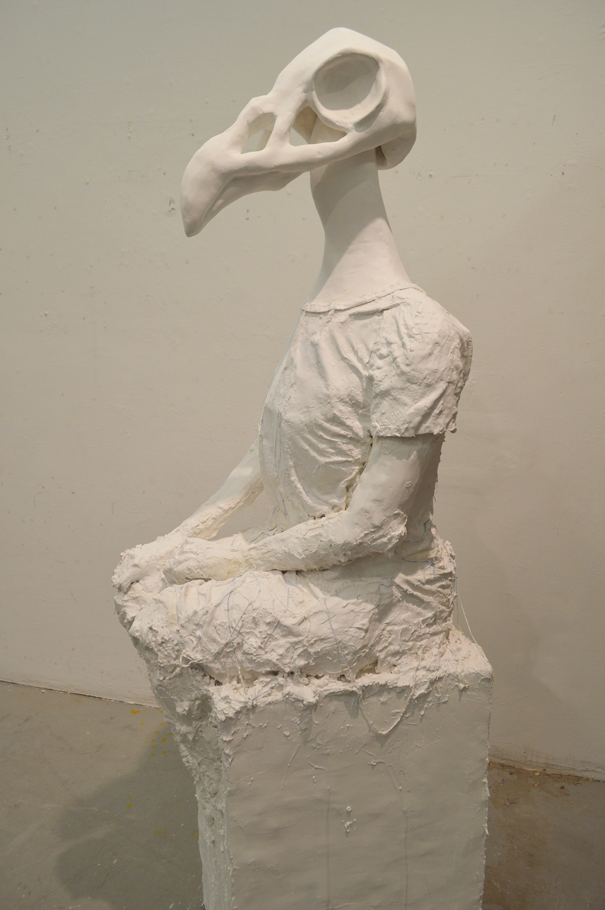 plaster plaster sculpture sculpture bird skull bird sculpture portrait cardboard fabric Scultping risd