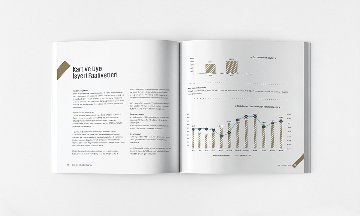 annual report book cover font portfolio infographic magazine report brochure catalog Bank logo logofolio mock minimal