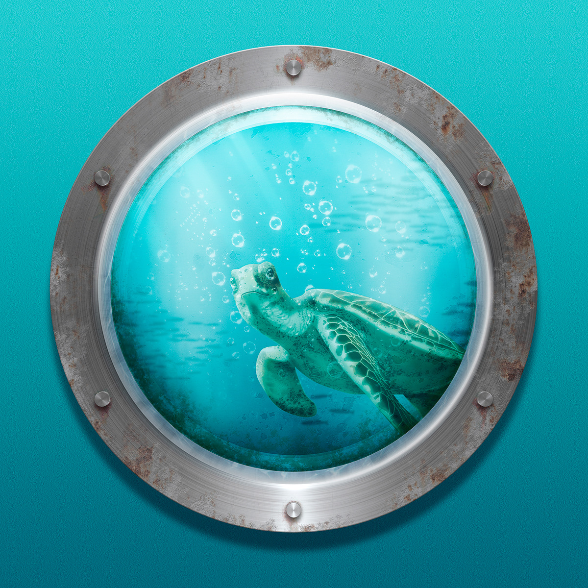 digital photoshop cinema 4d Character fish Turtle shark aquarium Seaside