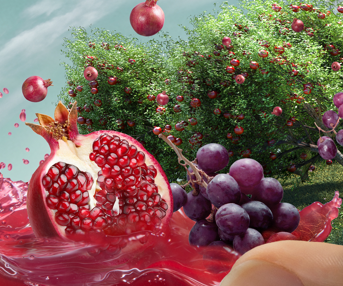 Adobe Portfolio CGI 3D 3dmodelling   postproduction cgiphotography Food  Landscape