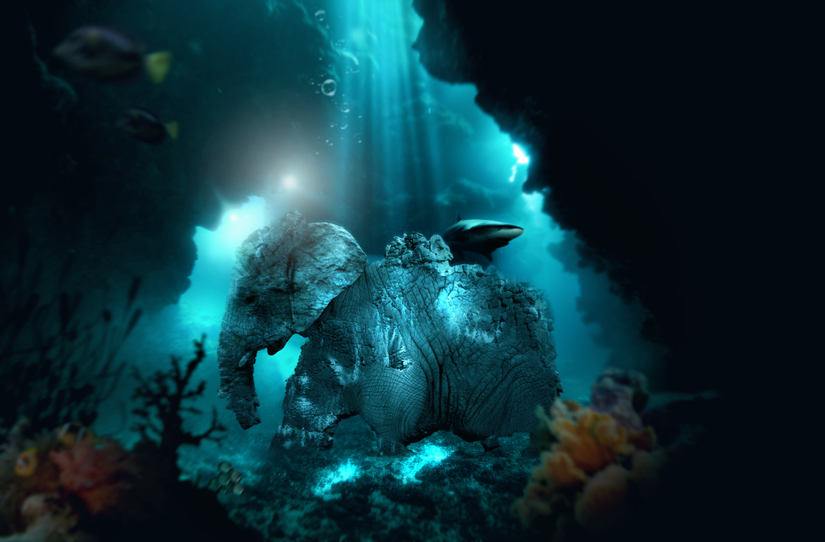 elephant sea concept creative art digital Ocean