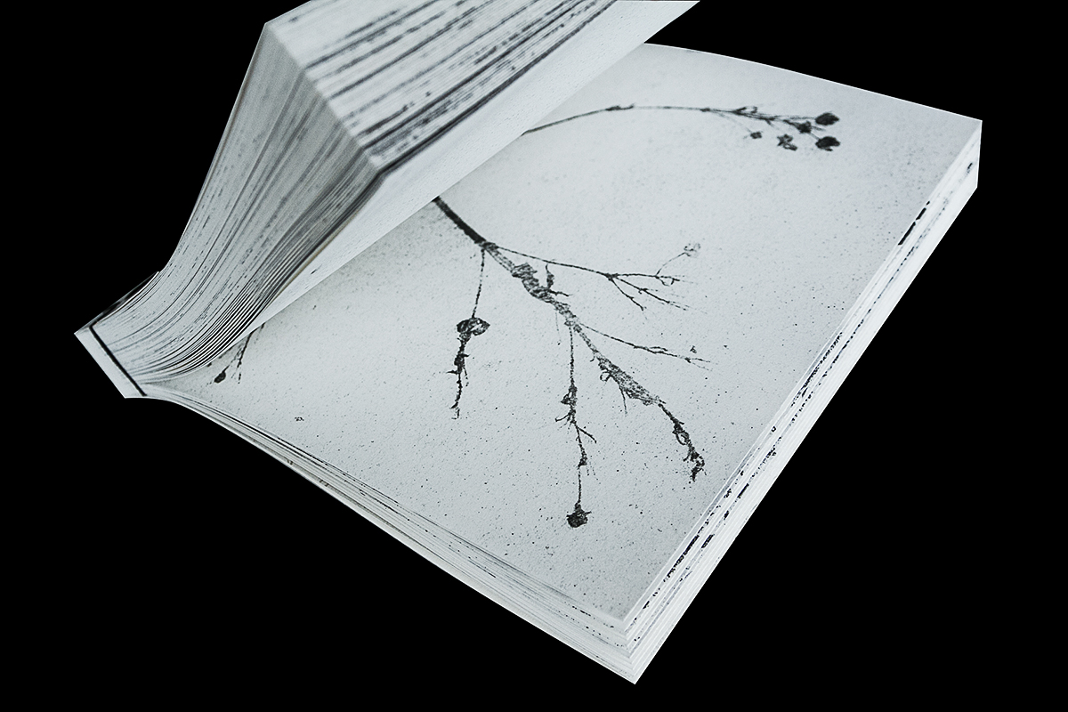 Haiku hokku japanese binding black and white print russian Nature winter book