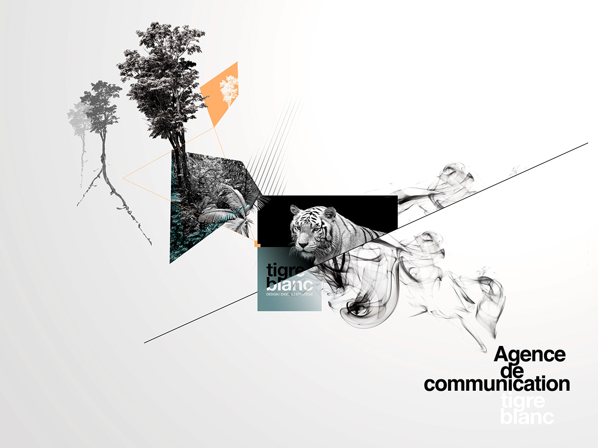 Tigre Blanc communication agency design print tiger puzzle creative smoke blanck and white