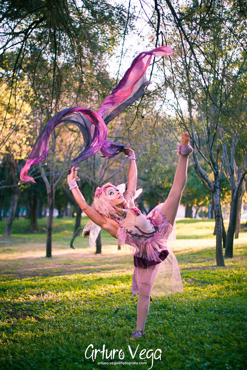fairy faery pink flex felxible acrobat acrobacy cloth wood woods crystal ball crystal ball wing wings