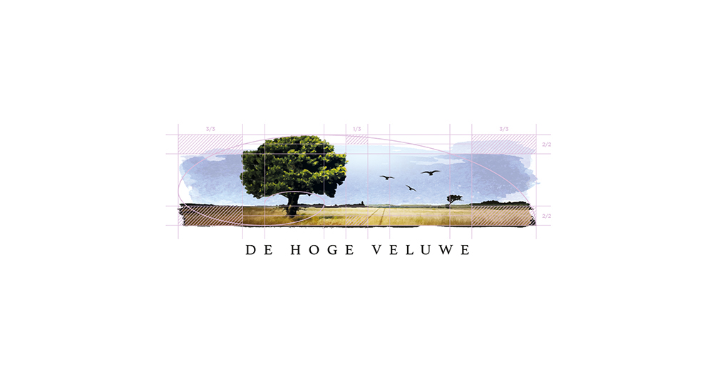 Veluwe National Park national parc Gelderland Holland Nederland animals Tree  Nature paint panorama city Proposal