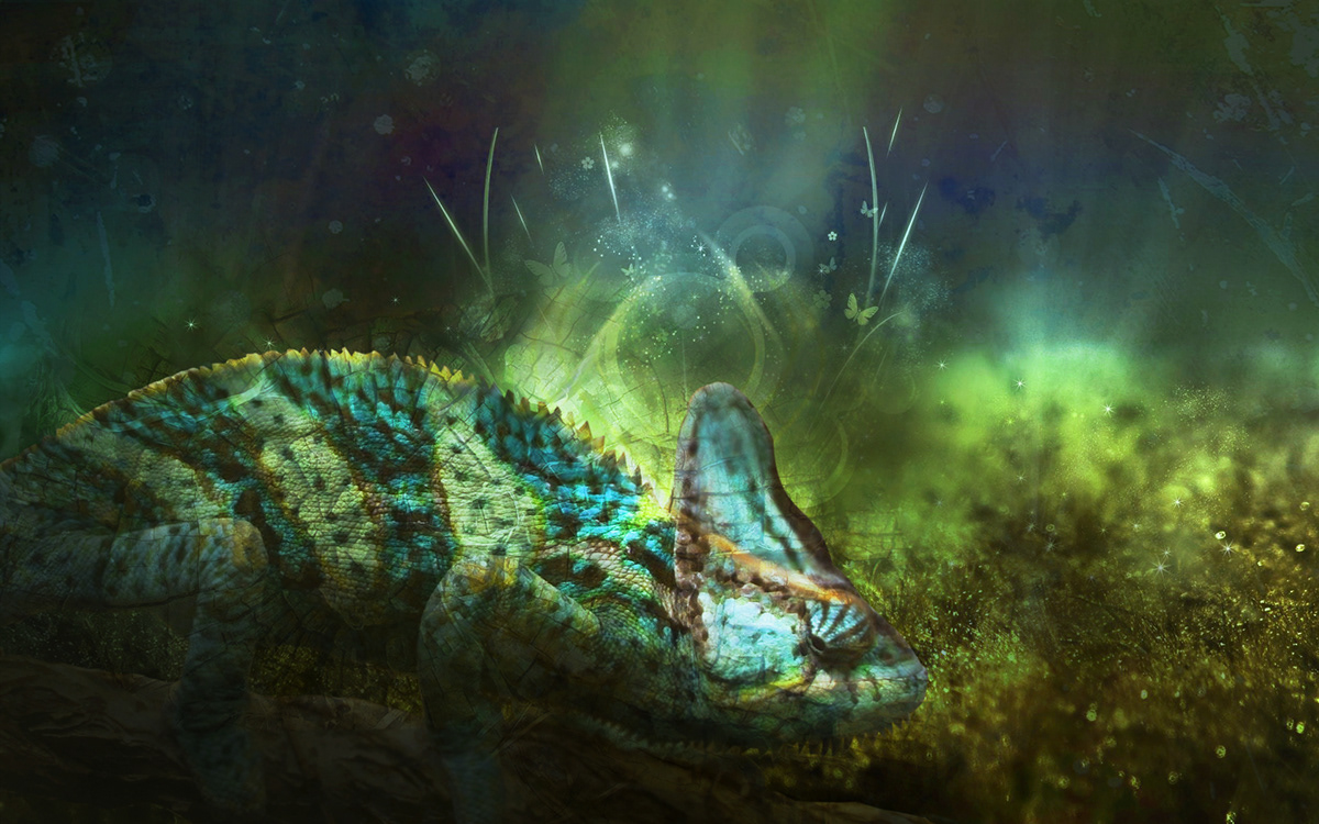 chameleon sheep Turtle compositing abstract