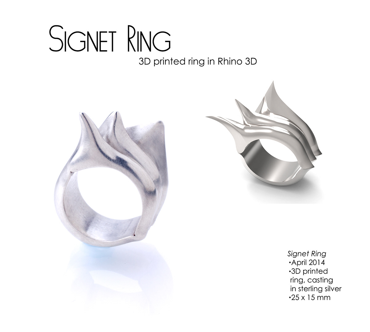 Rhino 3D Rapid Prototyping 3d printing casting Key shot cad ring