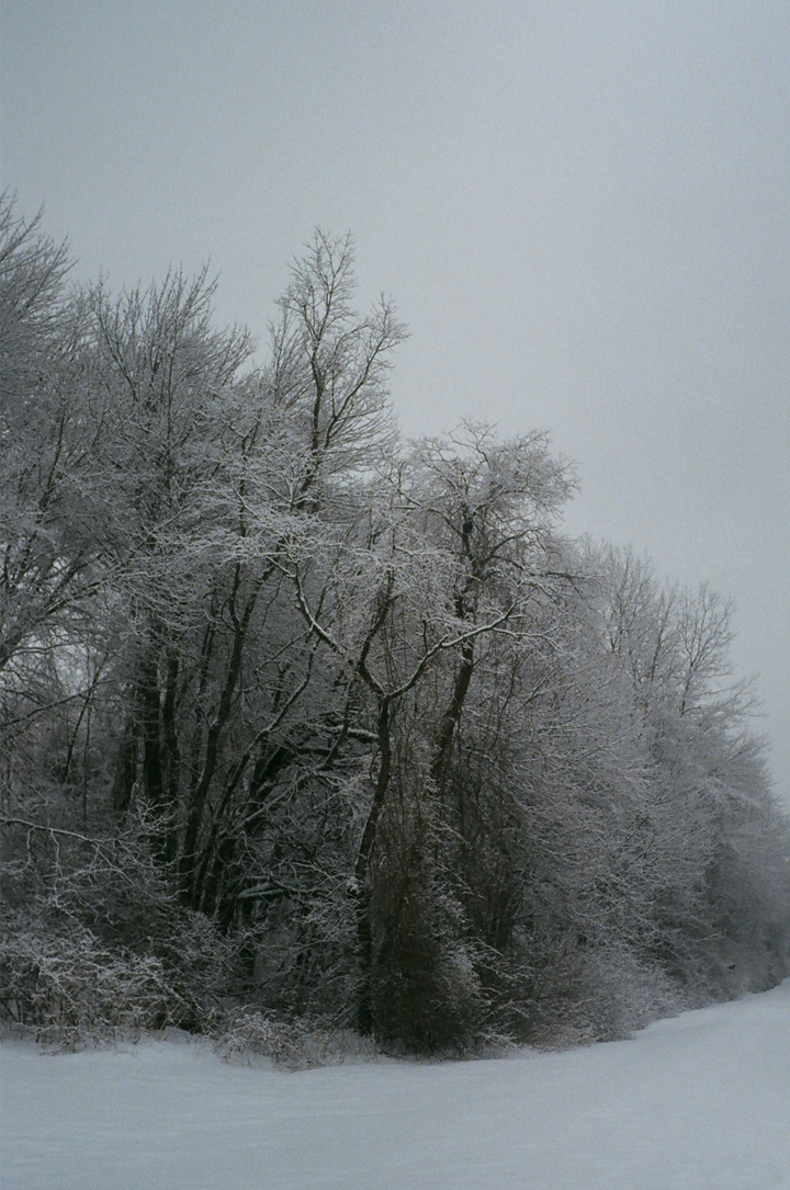snow Landscape minimal 35mm Rangefinder argus KEVIN CORRADO winter cold quiet White trees SKY