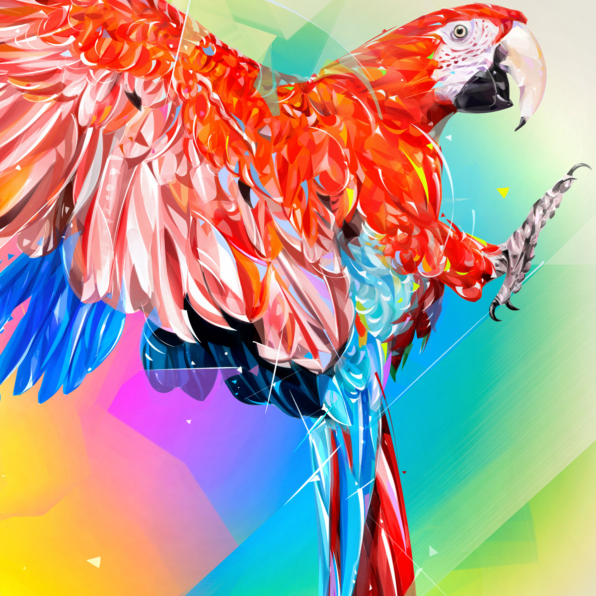 beauty bird cover design Nature parrot Pop Art portrait wild life animals
