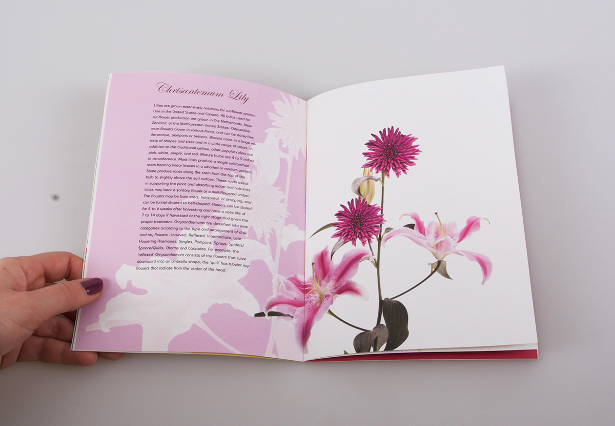 editorial Flowers reader information photomontage