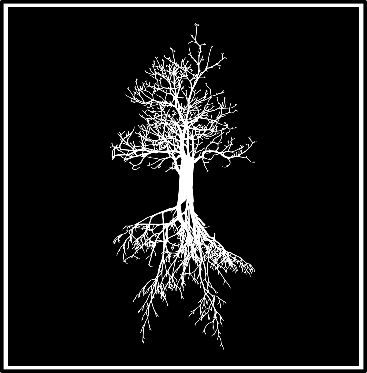 Tree  paramo Recording studio Audio logo negative minimal
