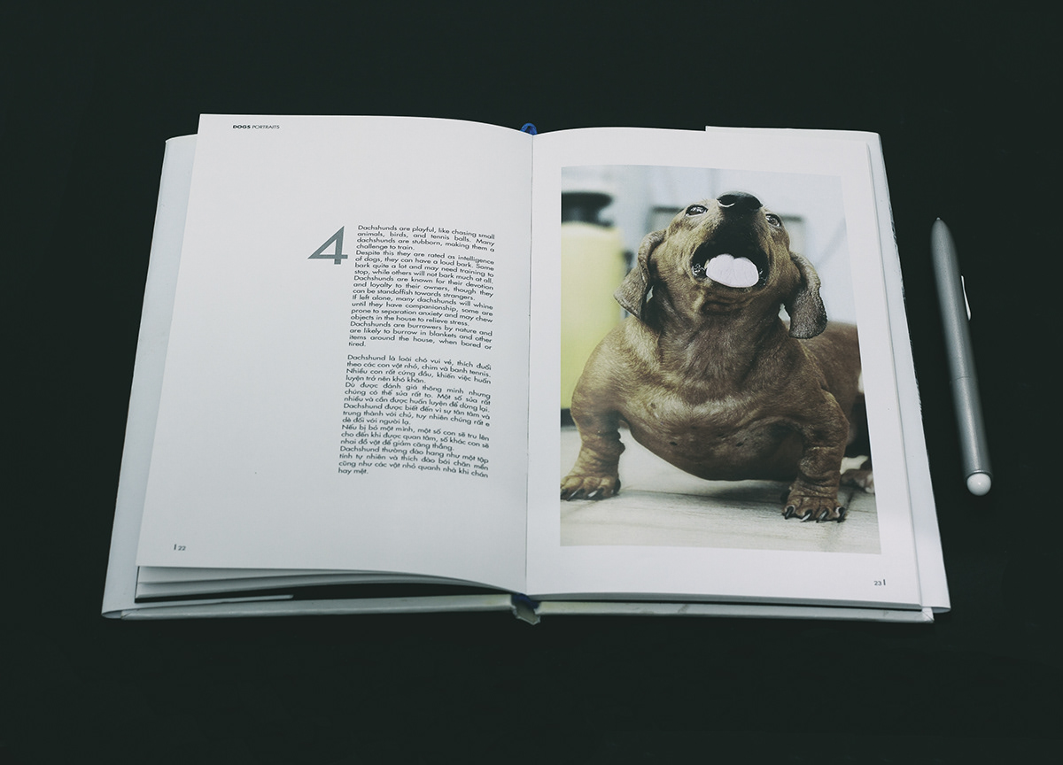 art book photobook dogs portrails