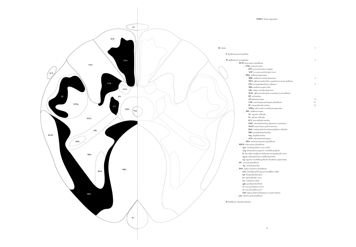 human brain epfl brain Human Brain Project research atlas