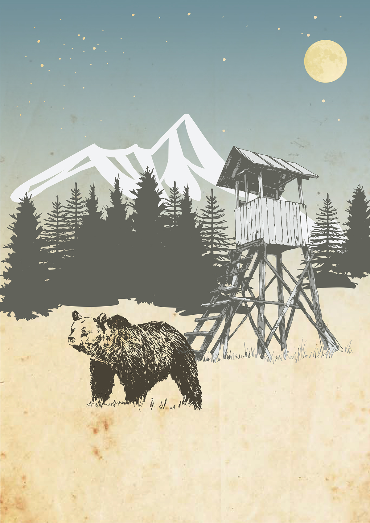 bear poster Poster Design illustrated Nature tourism