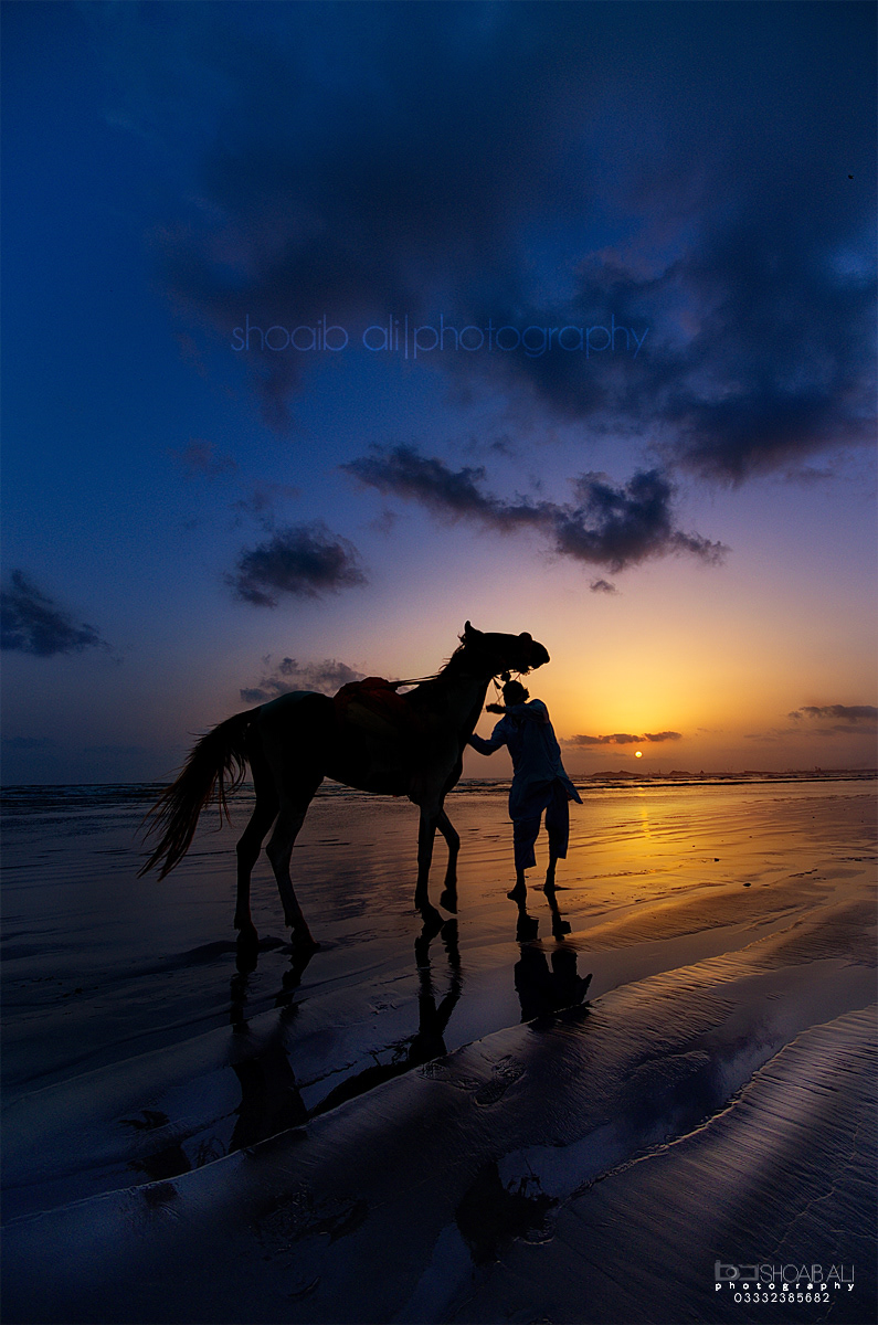 shoaib ali color sunset orange horse rider blue seaview