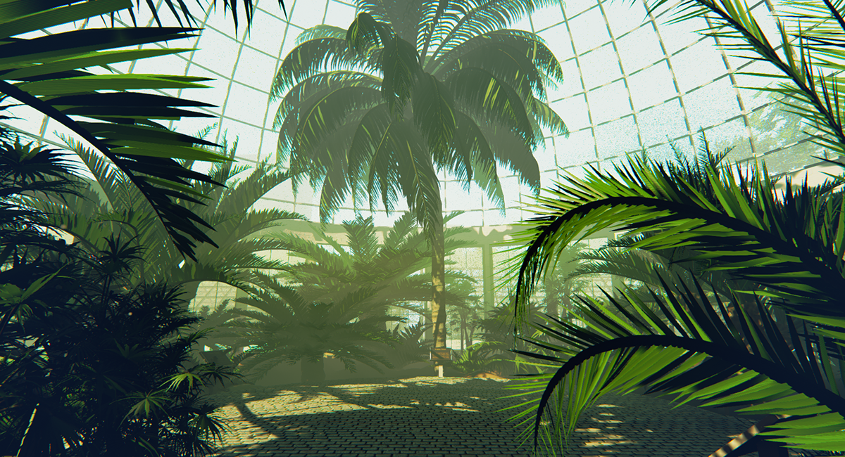 garden botanical palm Tree  Plant dome glass