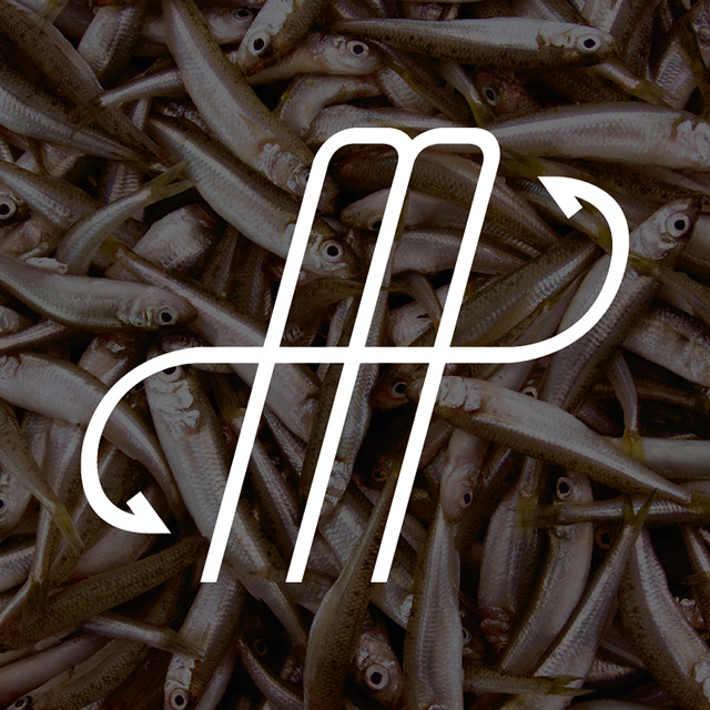 lure hook type lettering