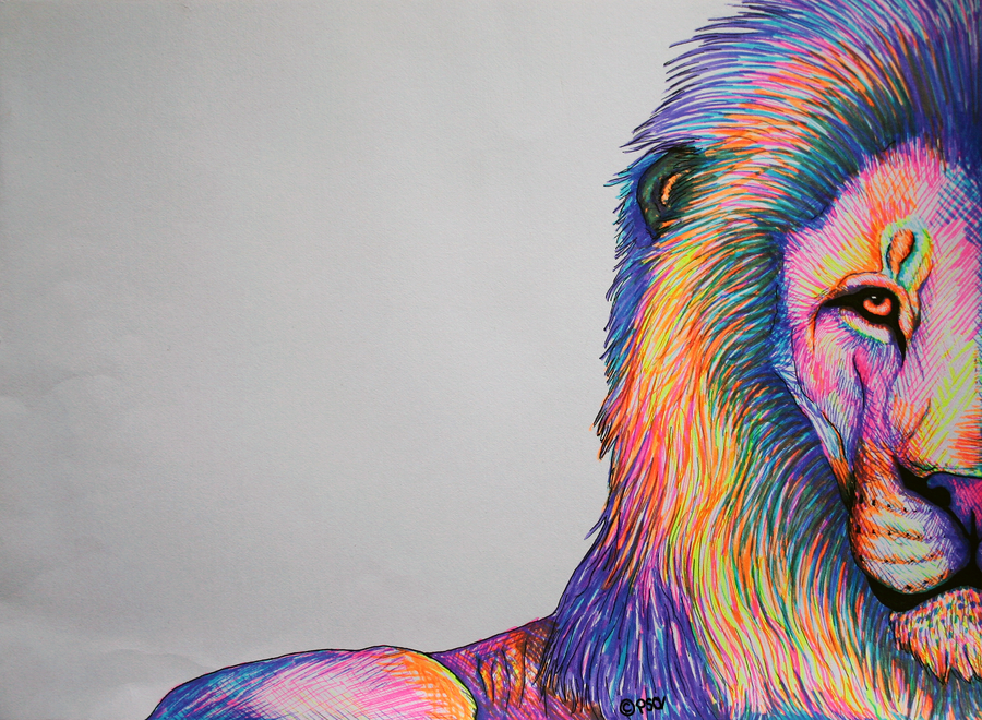 Colorful animals on Behance