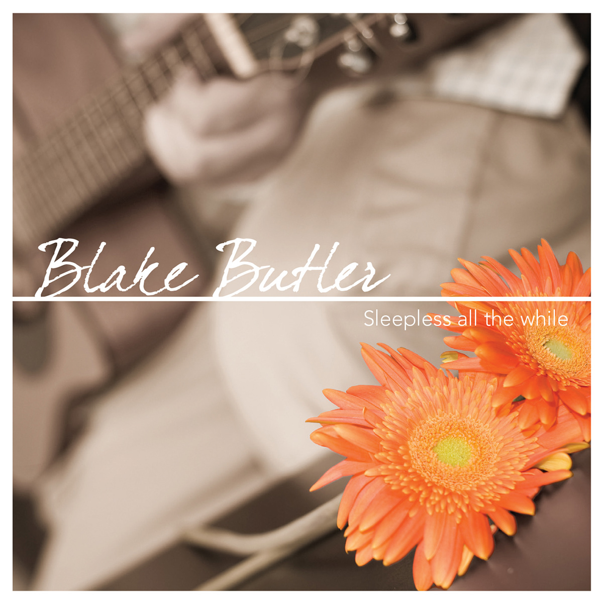 blake butler cd compact disc Album cover art graphic design Flowers guitar
