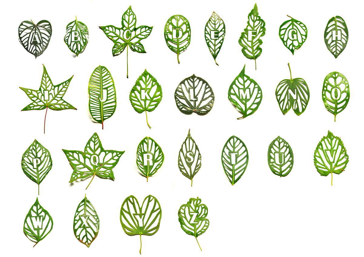 leaf Handmade Type type