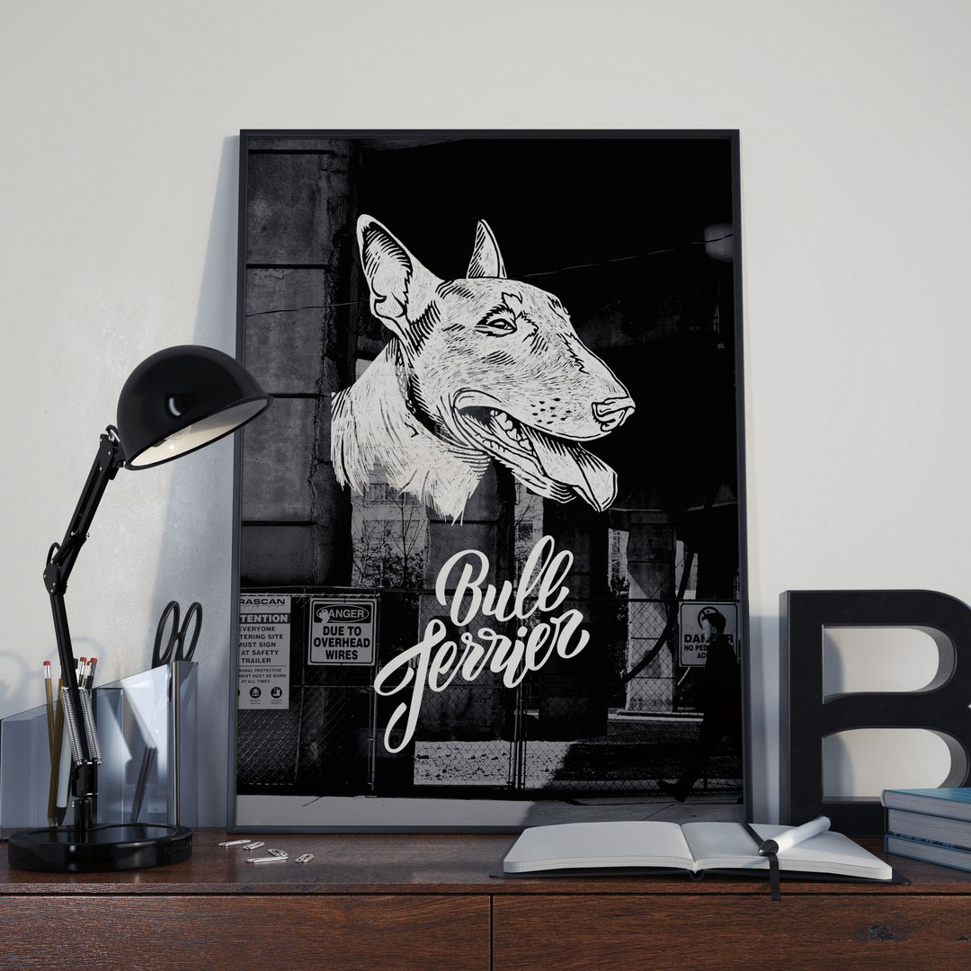 ILLUSTRATION  bullterrier dog poster плакат