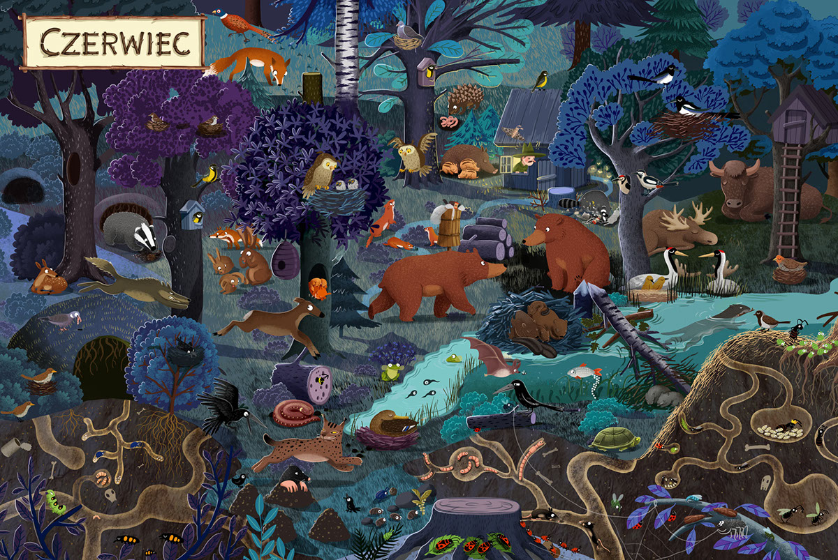 book children's book Picture book animals forest